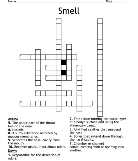 Look out for odd smells. . Give off a bad smell crossword